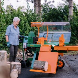 Posch Holzspalter Polly mit hydraulische Stammhebevorrichtung inkl. grosser Holzablage