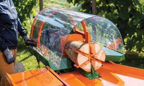 Posch Holzspalter Polly mit hydraulische Stammhebevorrichtung inkl. grosser Holzablage